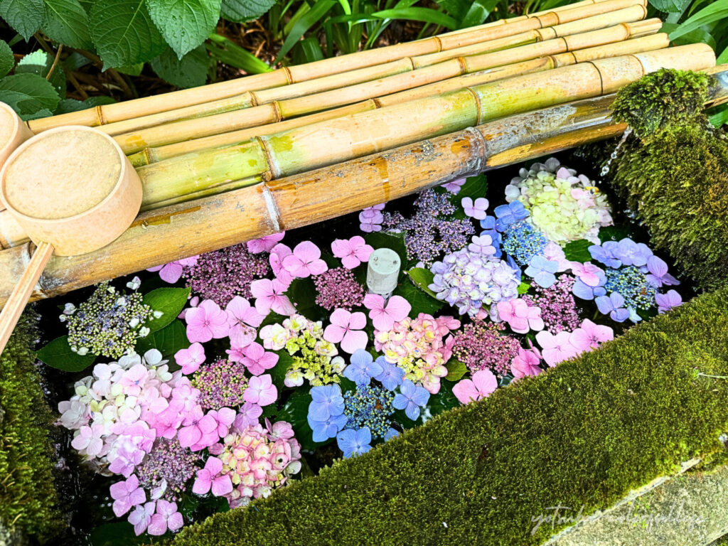 舎那院の花手水
