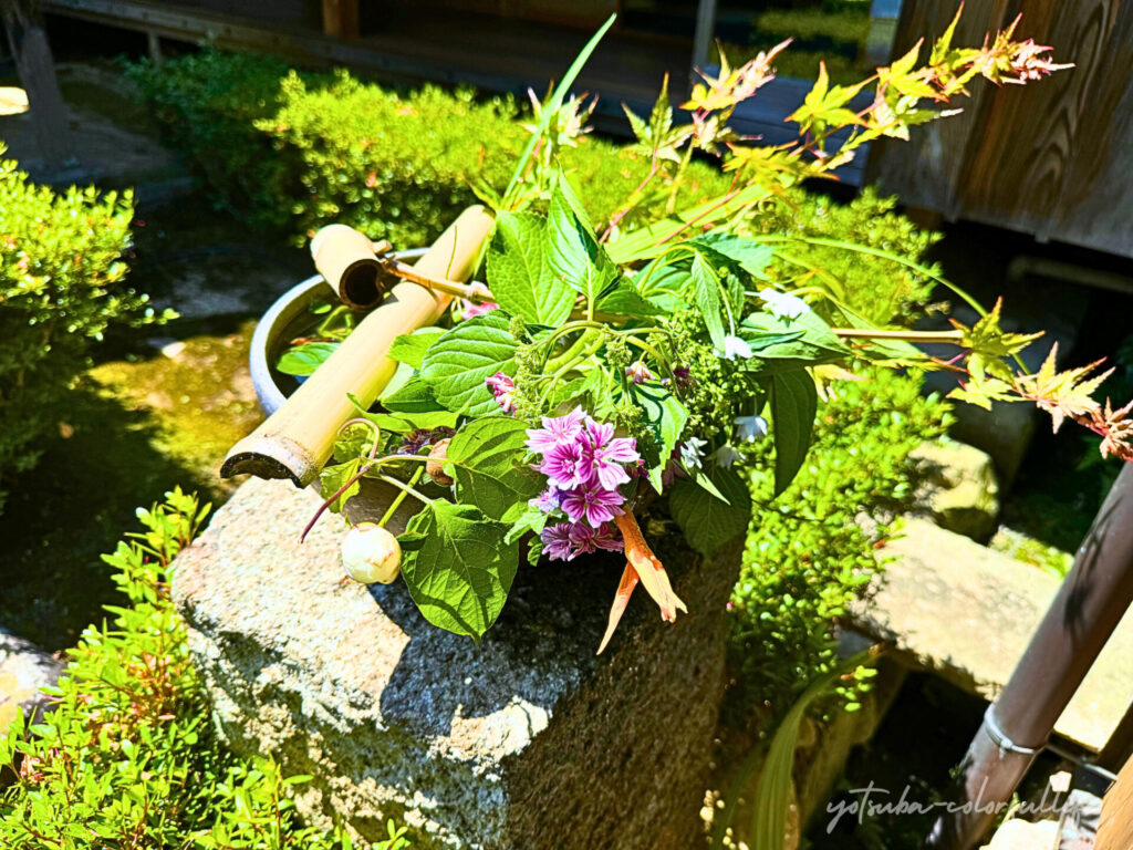 大池寺の花手水