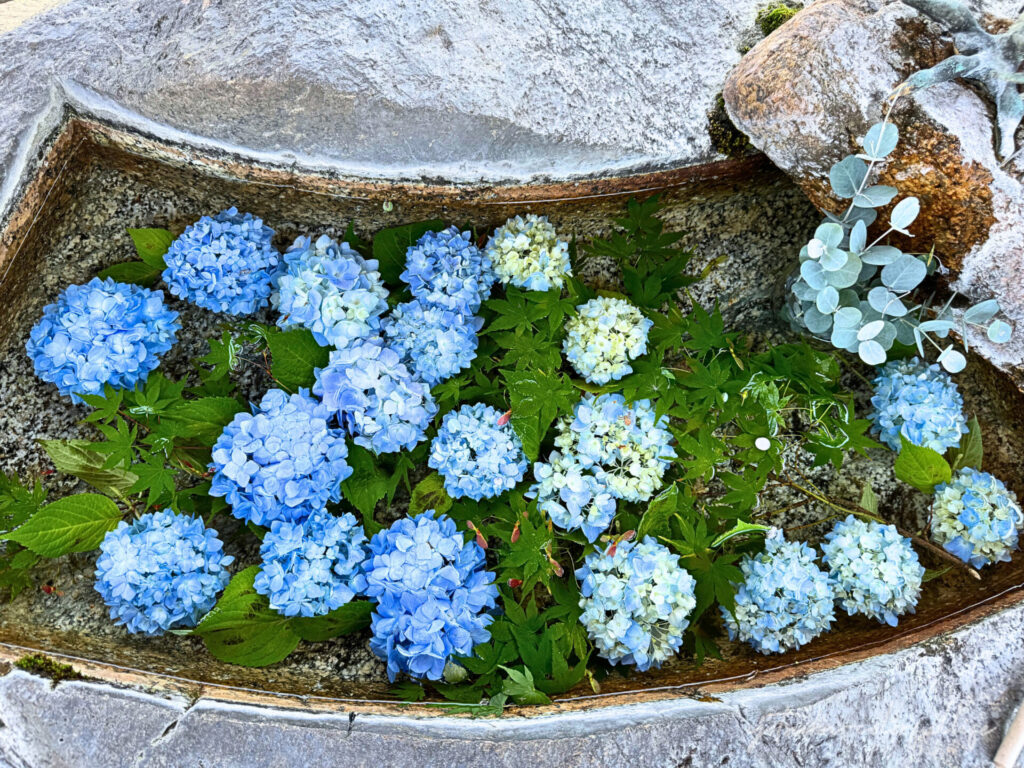 矢川神社の花手水