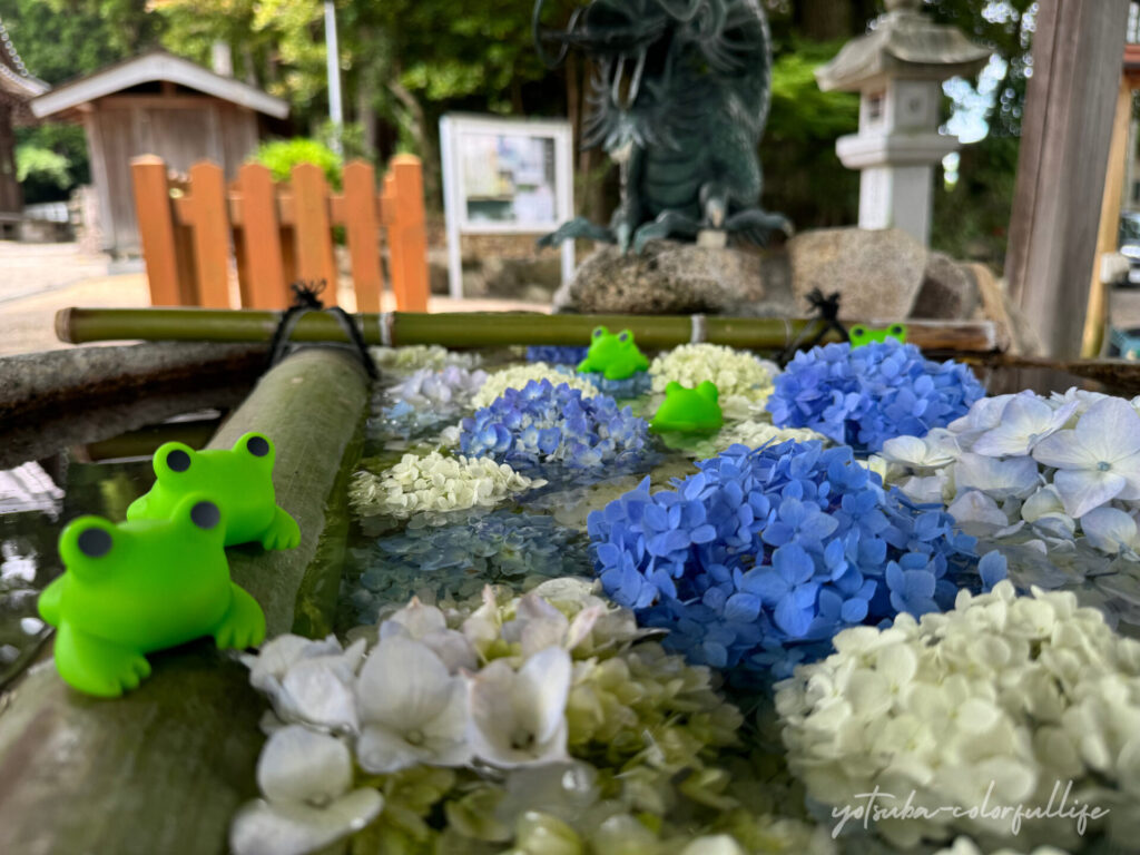 立志神社の花手水
