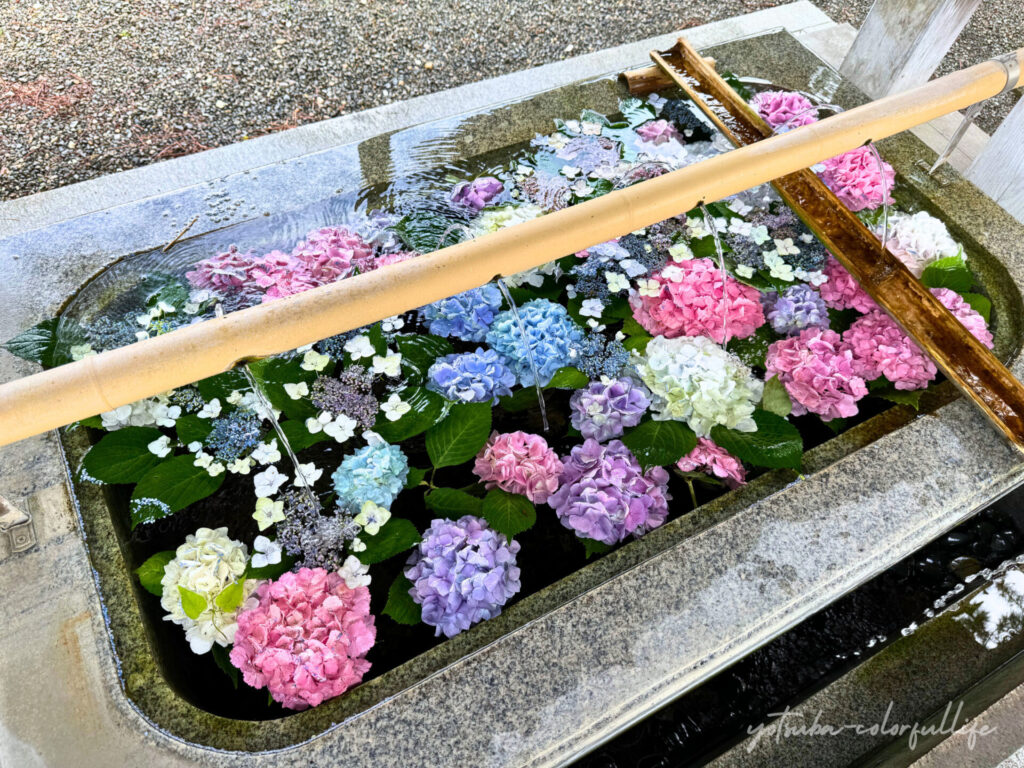 長濱八幡宮の花手水
