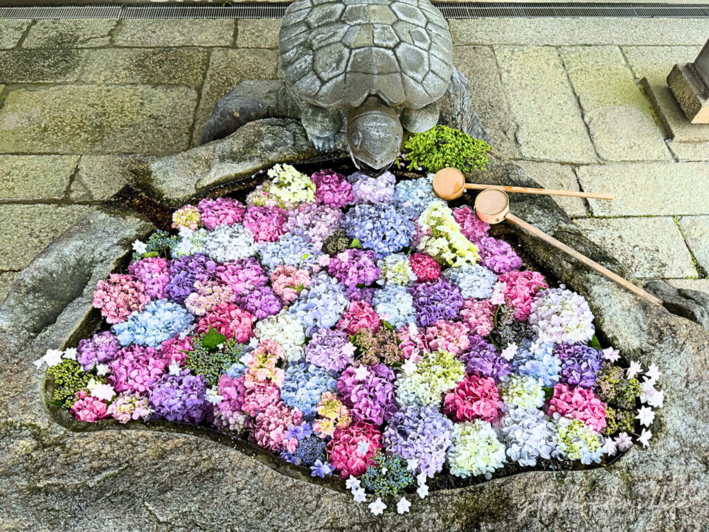 兵主大社の花手水
