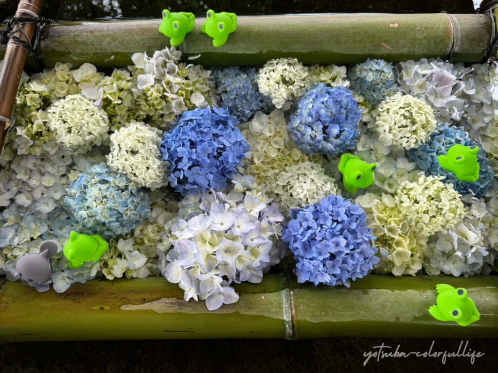 立志神社の花手水
