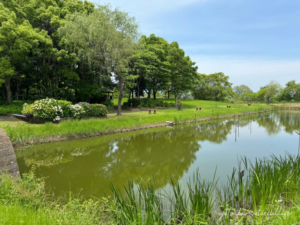 もりやま芦刈園　親水河川
