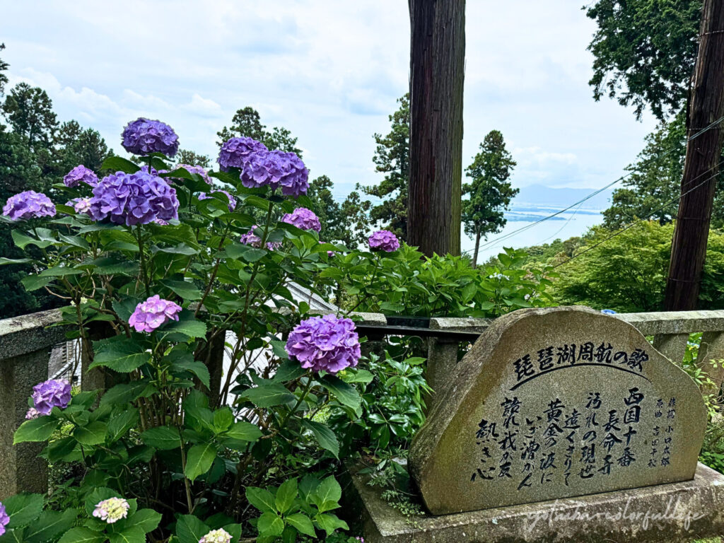 長命寺の紫陽花