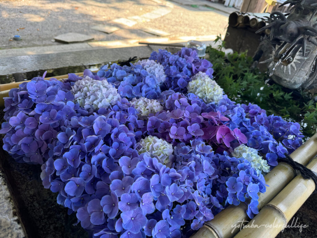 水口神社の花手水
