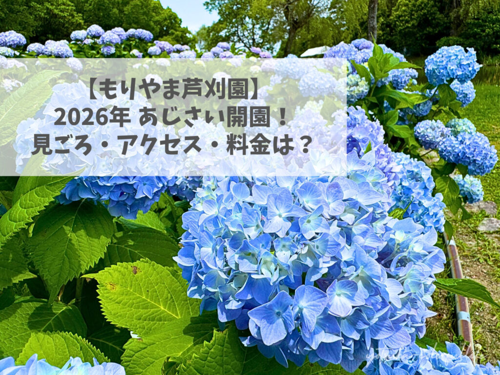 もりやま芦刈園 滋賀県 あじさい 紫陽花 見ごろ 見頃 あじさいフェアー