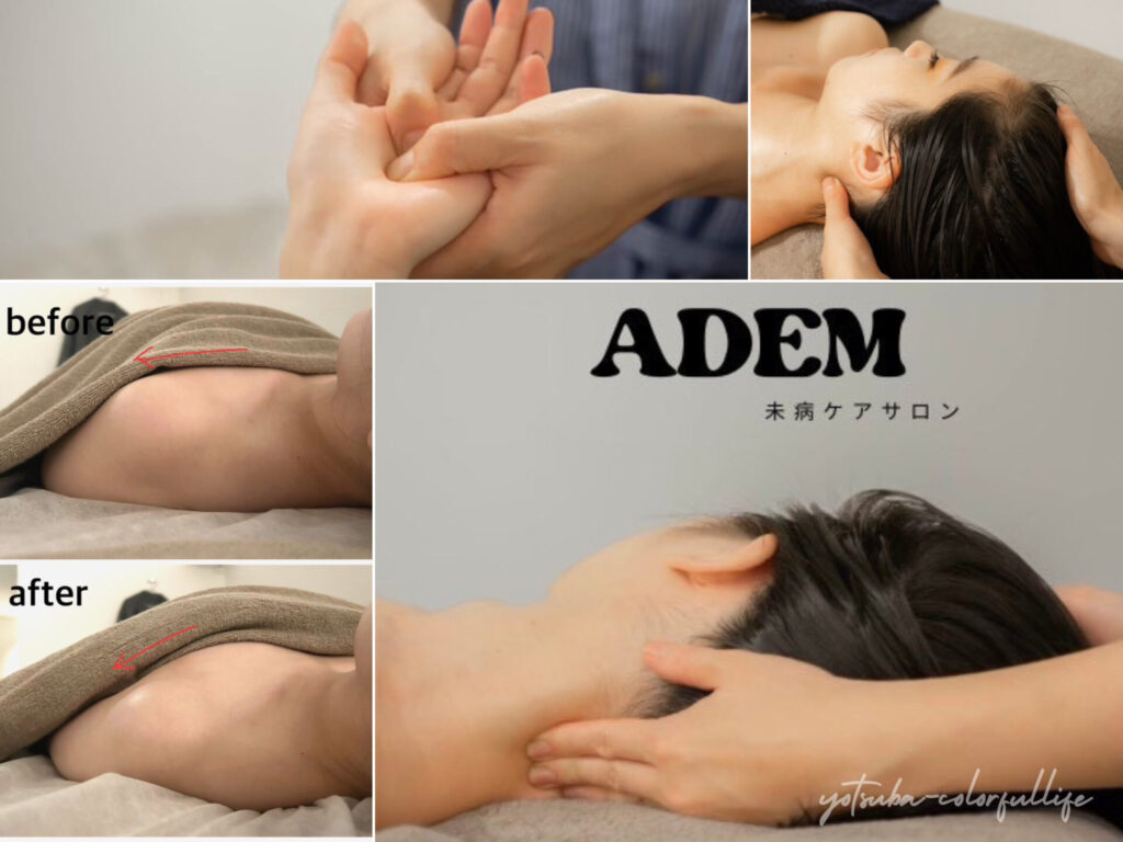 第9回 滋賀パークマルシェ
ADEM 未病ケアサロン
トリムハンド・ヘッド