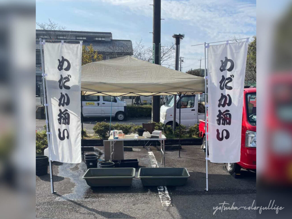 HOLY MARKET
ホーリーマーケット
南比都佐小学校グラウンドにて2026年5月17日(日)開催
ワークショップ
はちはちめだか
Hachihachi MEDAKA
めだかすくい